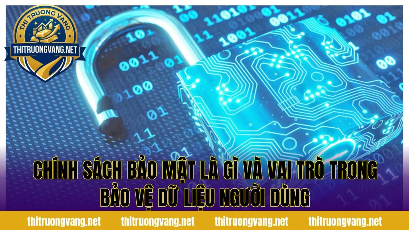 Chính sách bảo mật là gì và vai trò trong bảo vệ dữ liệu người dùng