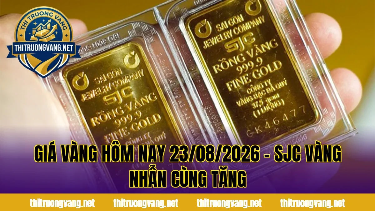 GIÁ VÀNG HÔM NAY 23/08/2026 – SJC VÀNG NHẪN CÙNG TĂNG