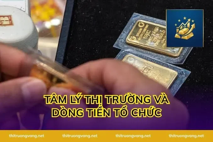 Tâm Lý Thị Trường Và Dòng Tiền Tổ Chức